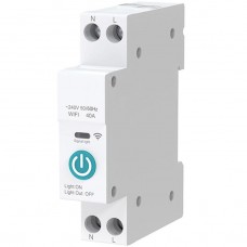 WiFi Smart Διακόπτης Ράγας 40A Tuya 10-2431